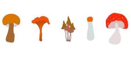 Edible and poisonous mushrooms on a white background. flat vector. illustrationのイラスト素材