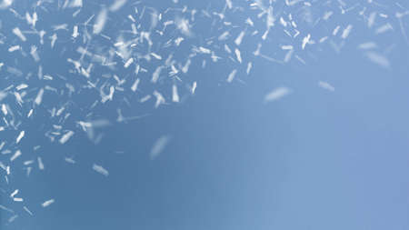 Winter snow and frost background with free space for your decoration. Christmas background with...