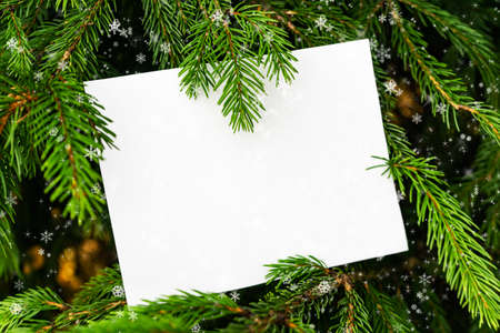 Natural frame of fir branches, snow and light. The concept of a festive mood, Christmas and New Year. Copy space, place for text. Greeting card.の写真素材