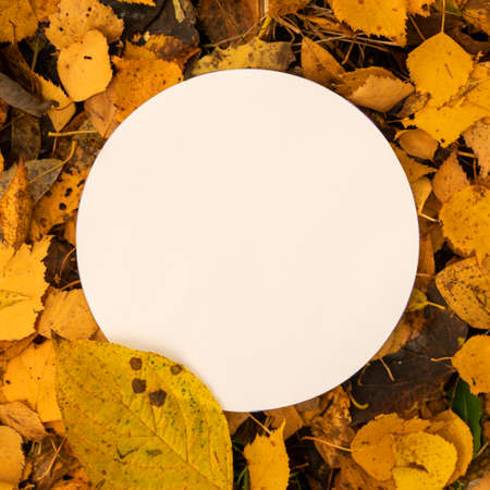 Frame of autumn fallen leaves. Copy space. Place for text. Greeting card.の写真素材