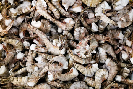 Large frozen king gray shrimp. Diet food plan view.の写真素材