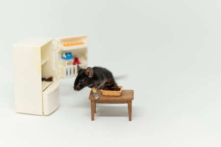 A small mouse next to the fridge. The fridge is empty