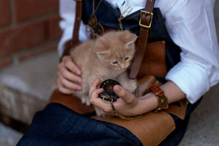 Red kitten sits on the lap of a child and looks directly into the cameraの写真素材