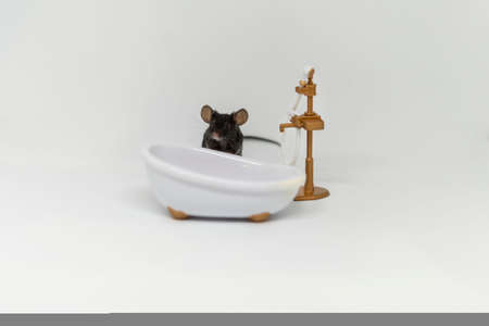 A little gray mouse looks at the shower in the bathroom. Doll furnitureの写真素材