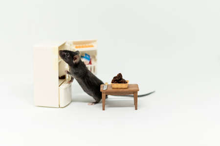A little mouse looks to see if there is food in the refrigerator. Doll furnitureの写真素材