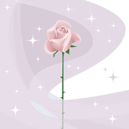 Background with  pink roseのイラスト素材
