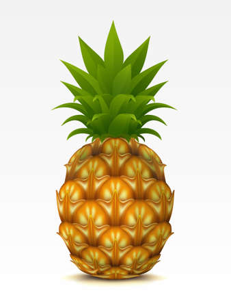 Pineapple on a white backgroundのイラスト素材