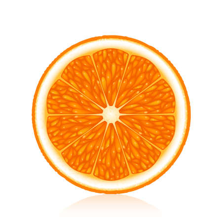 Half an orange on a white backgroundのイラスト素材