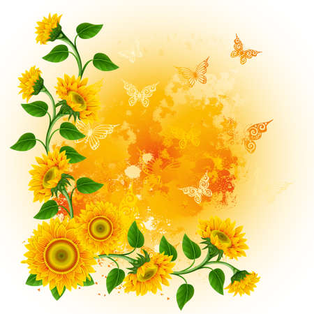  Orange background with sunflowers and  butterflies.のイラスト素材