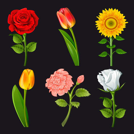 Collection of flowers of different colorsのイラスト素材