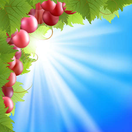 Summer background with blue sky and vine  EPS10  Mesh  Clipping Maskのイラスト素材