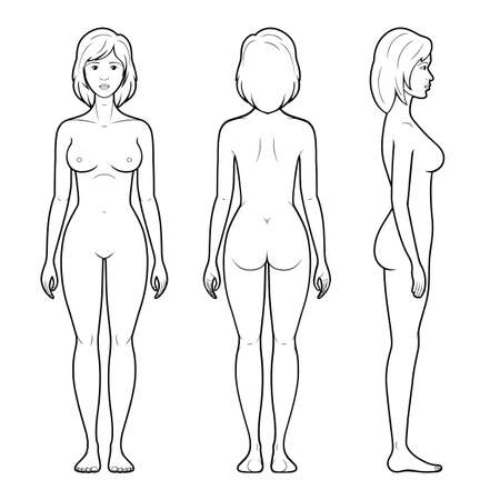 Vector illustration of female figure - front, back and side view in outlineのイラスト素材