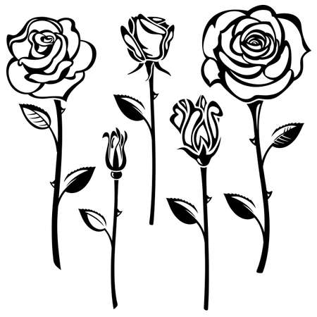 Rosebud Royalty Free Stock Illustrations And Vectors Stocklib
