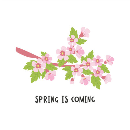 Vector hand drawn cherry blossom brunch backgroundのイラスト素材