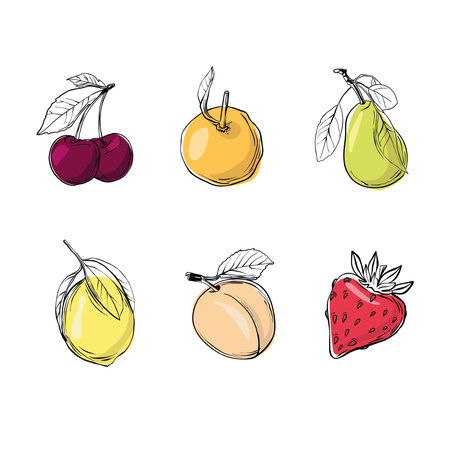 Vector sketch fruits and berries icons set. Collection hand drawn farm product for restaurant menu, market label.のイラスト素材