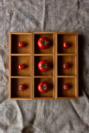 Fresh tomatoes laid out in a light brown wooden square shape, tomatoes matched in size and lie in the cellsの写真素材