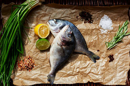 Two fresh Dorada laid out on brown paper for baking,Cook put on paper fresh fish to marinate it laterの写真素材