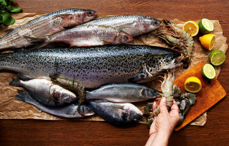 The expensive new fish restaurant brought svezhayuschuyu fish caught in the morning, woman chef treats and seafood rasskladyvaetの写真素材