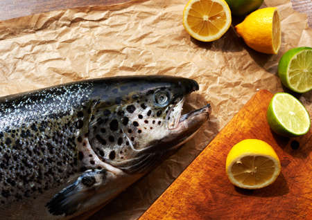 Her husband returned from a fishing trip brought home a large carcass fresh salmon, wife cooked lemon and lime marinade for fishの写真素材