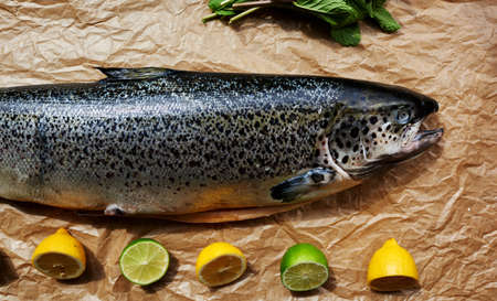 On showcase trendy fish restaurant is fresh salmon carcass from which it will be possible to cook any dishの写真素材