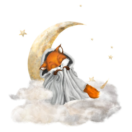 Sleeping little fox on a fluffy cloud. Watercolor illustration on isolated background.Cute stars and crescent moon. Little fox in a soft gray blanketの写真素材