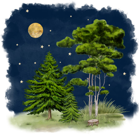 Spruce and pine trees in the night forest. Watercolor digital illustration. Moon and stars on the blue sky, isolated on white background. Bushes, stump and grass on a forest glade. Pines on a hillの写真素材
