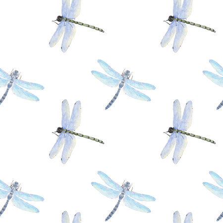 Dragonflies with transparent blue wings in a seamless pattern. Watercolor digital illustration. Summer insect with a segmented body and graceful wings isolated on a white background. Flying dragonflyの写真素材