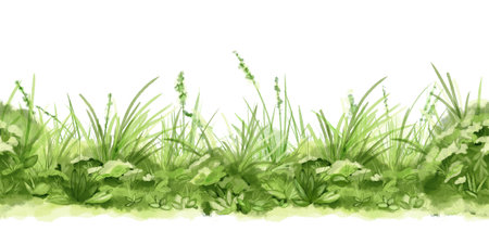 Green grass and lush bushes on a seamless pattern. Watercolor digital illustration. Spring greenery and natural landscape, isolated on a white background. Horizontal border of summer grass thicketsの写真素材