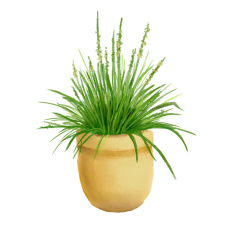 Elegant houseplant with small flowers in flowerpots in set. Watercolor digital illustration. Flower with green leaves in ceramic pot isolated on white background. Houseplant for home decor.の写真素材