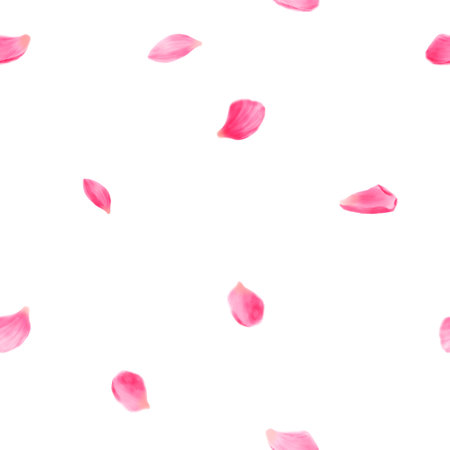 Cute rose petals fluttering, cherry blossom or pink lotus petal. Watercolor digital illustration. Spring fragrant falling flowers isolated on white background. Seamless patternの写真素材