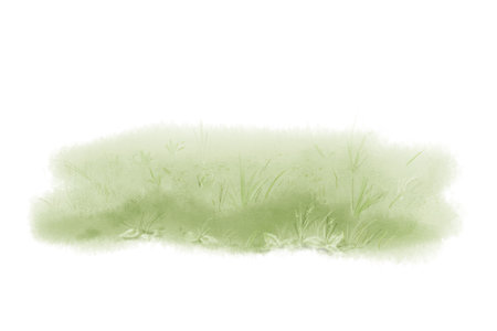 Watercolor digital illustration. Set, spring lawn and bushes, isolated on white background.の写真素材