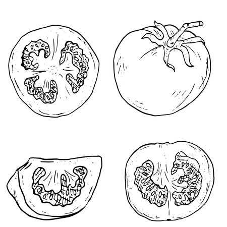 Tomato with slice of tomato in the form of a sketch. A set of black and white vector illustrations. Ripe cherry tomato, on a white background. Fresh organic vegetables, healthy harvest, ink drawing.のイラスト素材