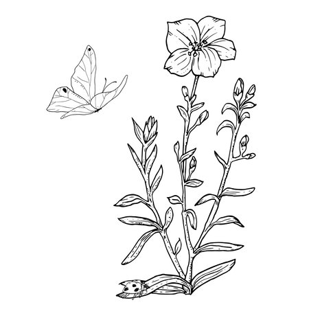 A wildflower with leaves and butterfly. Black and white vector illustration. Beadow flowers and grasses, fluttering butterflies isolated on a white background. Bindweed and flax plant, painted in inkのイラスト素材