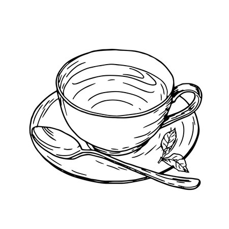 Cup of tea on a saucer and mint and tea tree leaves. Vector illustration. A mug of tea or coffee with spoon, isolated on a white background. Tea party theme, coffee shops, menus, cookbooks and recipesのイラスト素材