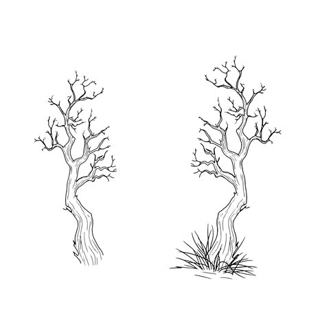 Old gnarled tree from dark forest thicket, black and white sketch in simple style. Vector illustration. Tree in thick grass, isolated on white background. Halloween, autumn, magic and witchcraft themeのイラスト素材