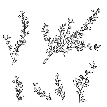 Blooming tree branches, silhouette set. Vector illustration. Spring flowers on a branch, set isolated on a white background. Floral summer theme, suitable for cards, invitations, and textile printing.のイラスト素材