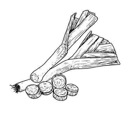Fresh leeks, whole and sliced, black and white sketch. Vector illustration. Drawing of healthy organic food isolated on white background. For menus, recipes, for cookbooks and banners.のイラスト素材