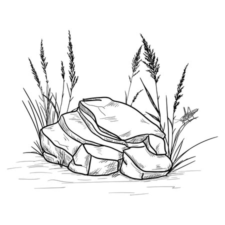 A stone lies on the ground, grass grows nearby, a grasshopper sits, black and white sketch. Vector illustration. Boulder in the bushes isolated on a white background. Simple style drawing, hand drawnのイラスト素材