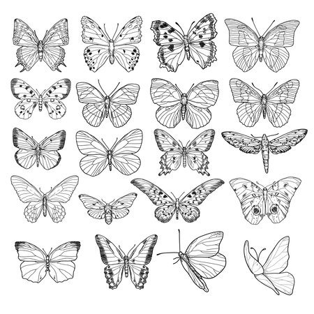 Collection butterflies, black and white sketches. Vector illustration. Set of flying insect silhouettes with wings isolated on white background. Summer, spring design. Party invitation, birthday decorのイラスト素材