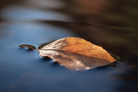 Yellow leaf floats in dark water. AI generated contentの素材