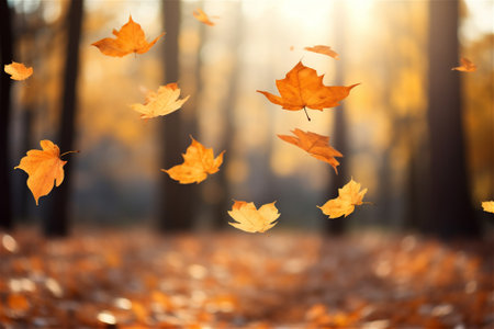 Falling colorful leaves in autumn outsideの素材