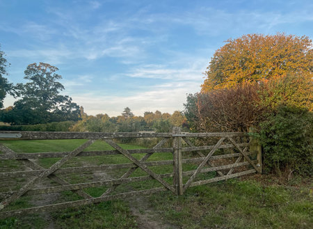 rustic wooden gate in a serene landscape, framed by lush greenery and trees under a clear blue skyの写真素材