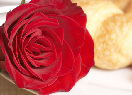 Macro shot of single red rose on white plate with fresh croissant at the backの写真素材