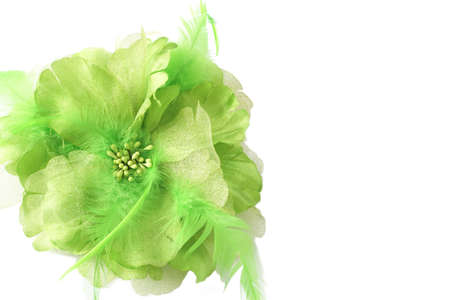 Beautiful green fake flower with feathers isolated on white background with copy spaceの写真素材
