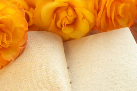 Bouquet of yellow roses on empty pages of a book with copy spaceの写真素材
