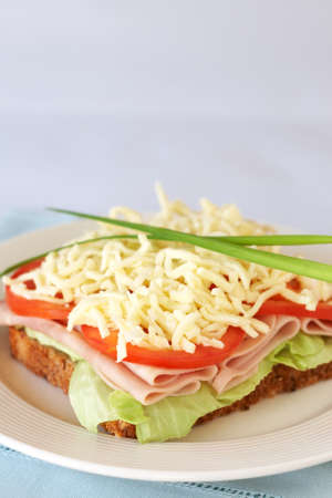 Tasty smoked ham, tomato and mozzarella cheese sandwich on wholewheat breadの写真素材