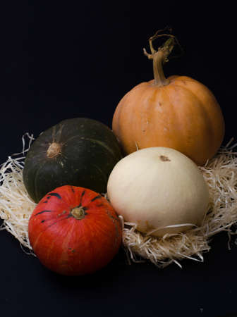 Autumn arrangement from different multi-colored pumpkins. Four small pumpkins on a dark background and strawの写真素材