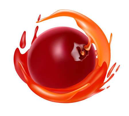 Cranberry juice. Realistic vector cranberry surrounded by a splash of juice.のイラスト素材