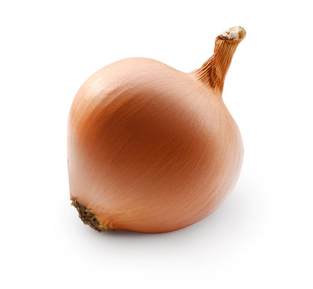 One whole onion isolated on white background. Vegetable root for packaging design. Healthy product to strengthen the immune system. A source of vitamins. A culinary ingredient for a salad.の写真素材