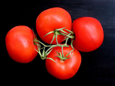 Vine tomatoes  on black backgroundの写真素材